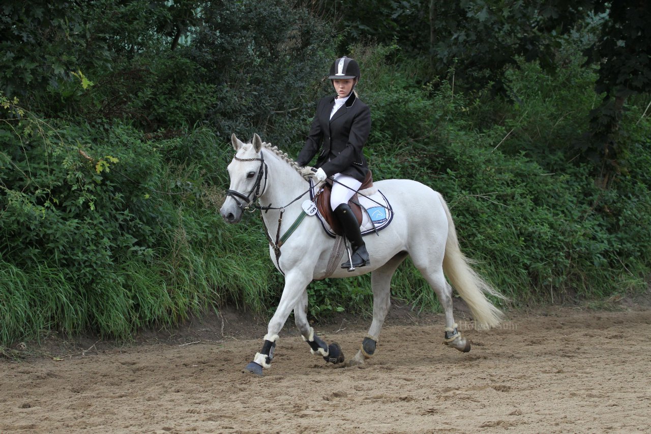Bild 1230 - WBO-Turnier am 18.9.11